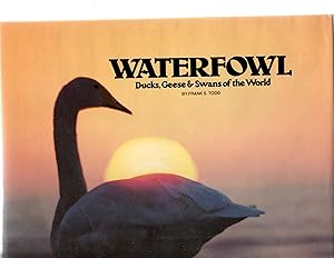 Bild des Verkufers fr Waterfowl, Ducks, Geese and Swans of the World zum Verkauf von Theodore J. Holsten Jr.