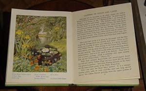 Imagen del vendedor de British Wild Flowers a la venta por Makovski Books