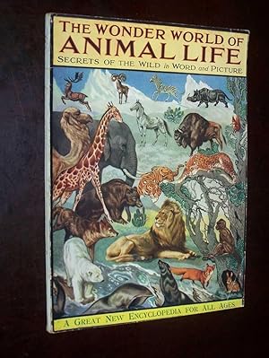 The Wonder World Of Animal Life