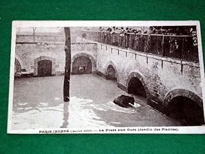 Bild des Verkufers fr Carte Postale Ancienne - PARIS INONDE (Janvier 1910). La Fosse aux Ours. JARDIN DES PLANTES. zum Verkauf von JOIE DE LIRE