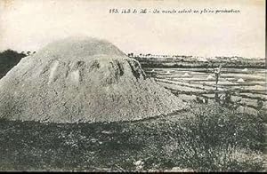 Bild des Verkufers fr Carte Postale Ancienne - 153 - ILE DE RE . Un marais salant en pleine production. zum Verkauf von JOIE DE LIRE