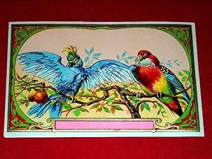 Bild des Verkufers fr Trs belle tiquette chromolithographie ancienne preuve avant la lettre - Thme :PERROQUETS zum Verkauf von JOIE DE LIRE