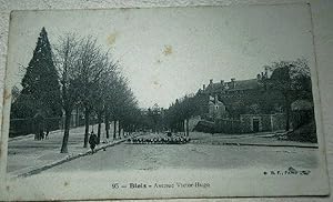 Bild des Verkufers fr Carte Postale Ancienne - 41 BLOIS 1905 Avenue Victor Hugo anime Berger Troupeau Moutons - BF 95 zum Verkauf von JOIE DE LIRE