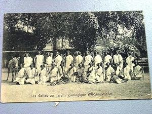 Bild des Verkufers fr Carte Postale Ancienne - LES GALLAS AU JARDIN ZOOLOGIQUE D'ACCLIMATATION. zum Verkauf von JOIE DE LIRE