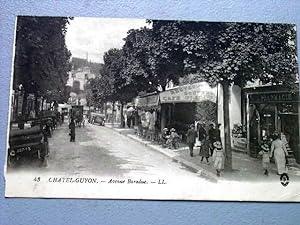 Bild des Verkufers fr Carte Postale Ancienne - 43- CHATEL-GUYON. Avenue Baraduc. LL zum Verkauf von JOIE DE LIRE