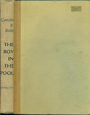 Seller image for Boy In The Pool for sale by Ye Old Bookworm