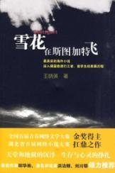 Seller image for Snow flying in Stuttgart(Chinese Edition) for sale by liu xing