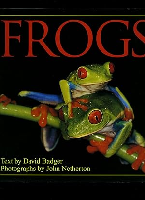 Imagen del vendedor de Frogs a la venta por Little Stour Books PBFA Member