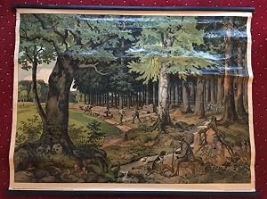 Immagine del venditore per Der Wald : Schulwandtafel. (Serie: Schreibers k�nstlerische Wandbilder f�r den Anschauungs-Unterricht nach Angaben von Franz Engleder gezeichnet von Leo Kainradl; Tafel 4: Der Wald) venduto da Antiquariat an der Stiftskirche