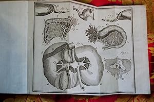 Immagine del venditore per Compendium anatomicum, totam rem anatomicam brevissime complectens. venduto da Libri Antichi Arezzo -  F&C Edizioni