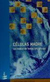 Células madre, la madre de todas las células