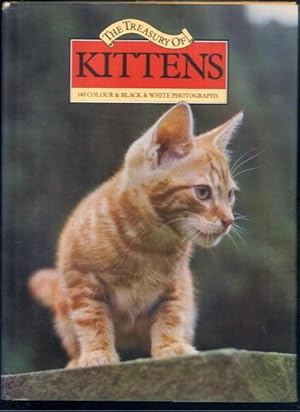 The Treasury of Kittens