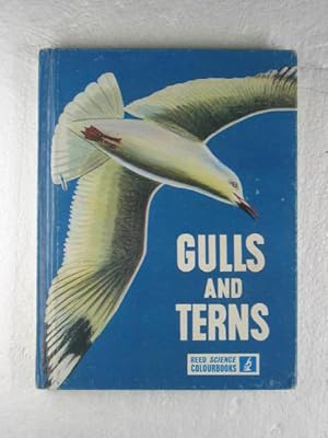 Gulls and Terns