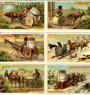 Set of 6 cards, including kangaroo and dingo