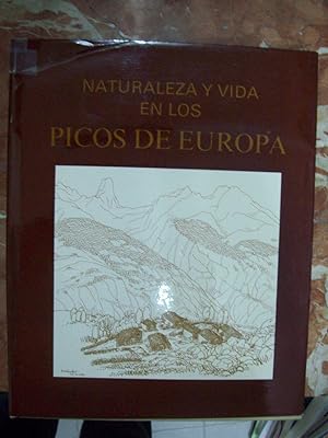 Imagen del vendedor de NATURALEZA Y VIDA EN LOS PICOS DE EUROPA a la venta por Itziar Arranz Libros & Dribaslibros