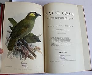 Natal Birds (Including the Species belonging to Natal and the Eastern Districts of the Cape Colony)