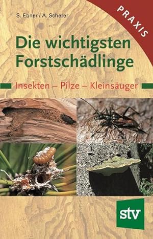 Seller image for Die wichtigsten Forstschdlinge for sale by BuchWeltWeit Ludwig Meier e.K.