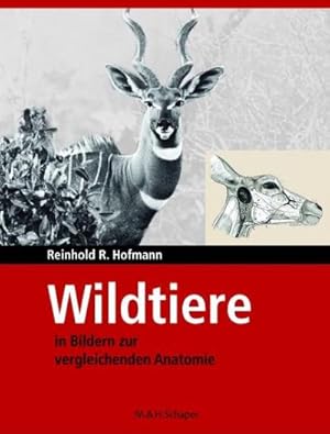 Imagen del vendedor de Wildtiere in Bildern zur Vergleichenden Anatomie a la venta por BuchWeltWeit Ludwig Meier e.K.