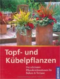 Immagine del venditore per Topf- und Kbelpflanzen: Die schnsten Pflanzkombinationen fr Balkon & Terrrasse venduto da ABC Versand e.K.