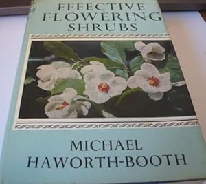 Effective Flowering Shrubs