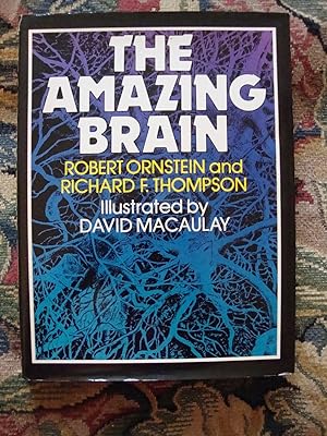 Imagen del vendedor de The Amazing Brain a la venta por Anne Godfrey