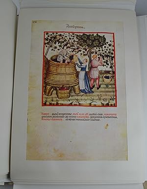Theatrum sanitatis. Codice 4182 della R. Biblioteca Casanatense.