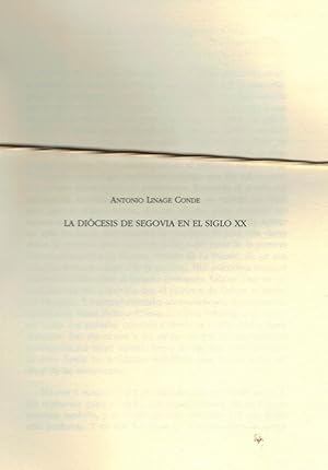 Imagen del vendedor de LA DICESIS DE SEGOVIA EN EL SIGLO XX. a la venta por Librera Torren de Rueda