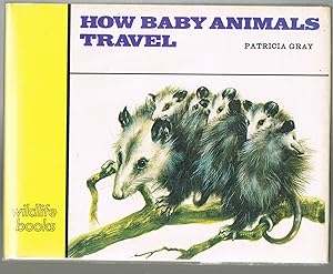 Seller image for How Baby Animals Travel for sale by Jenny Wren Books