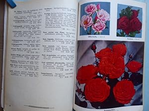 Bild des Verkufers fr Haupt-Katalog 1960/61. zum Verkauf von Antiquariat Heinzelmnnchen