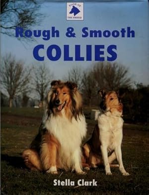 Rough and Smooth Collies