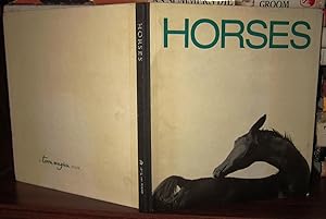 HORSES : A Terra Magica Book