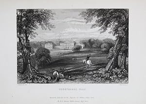 Original Antique Engraved Print Illustrating Hurstbarne Park, Hampshire