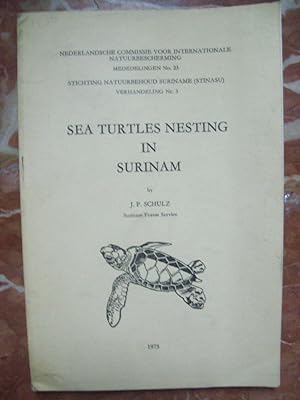 SEA TURTLES NESTING IN SURINAM