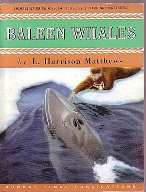 Seller image for WHALES, Baleen for sale by Mr.G.D.Price