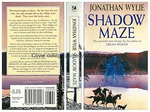 Shadow-Maze