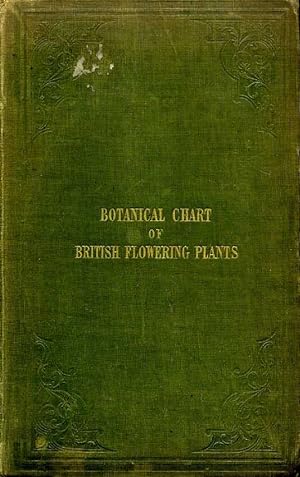 THE BOTANICAL CHART OF BRITISH FLOWERING PLANTS AND FERNS: shewing at one view their chief charac...