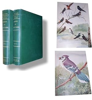 Image du vendeur pour New York State Museum Memoir 12: Birds of New York [Two Volume Set] mis en vente par Sean Fagan, Rare Books