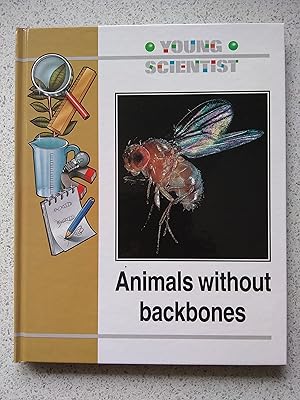 Young Scientist Animals Without Backbones