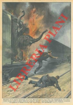 Elefanti, rinchiusi in un vagone ferroviario che presso Marsiglia aveva preso fuoco, carbonizzati...