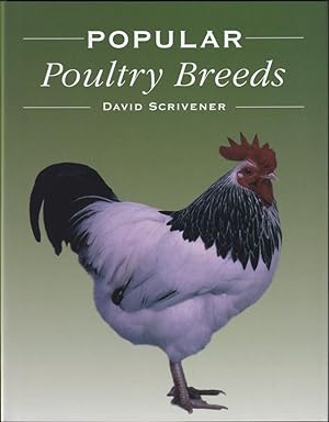 Immagine del venditore per POPULAR POULTRY BREEDS. By David Scrivener. venduto da Coch-y-Bonddu Books Ltd