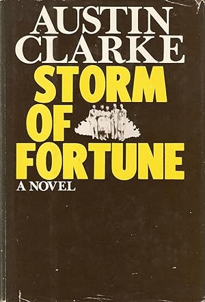 Seller image for Storm of fortune for sale by Black Voices