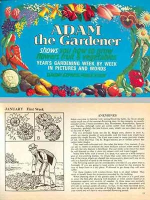 Seller image for ADAM The Gardener (Adam Le Jardinier) - shows you how to Grow flowers fruit & Vegetables (vous montre comment cultiver les fleurs, les fruits et les lgumes) for sale by Bibliothque d'un amateur