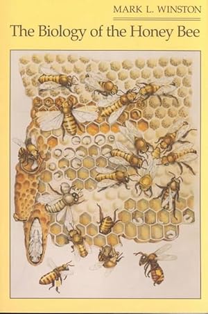 Seller image for The Biology of the Honey Bee (Paperback) for sale by AussieBookSeller