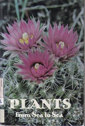 Seller image for Plants From Sea To Sea for sale by Ron Barrons