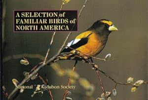 Seller image for A Selection of Familiar Birds of North America for sale by Ron Barrons