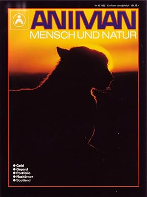 Seller image for ANIMAN: Mensch und Natur. Magazine; Nr. 10, 1986. [Article title "Gold"] for sale by ABLEBOOKS