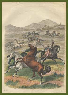 Immagine del venditore per Indiani d'America cattura cavalli mustang venduto da Studio Bibliografico Imprimatur
