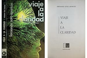 Immagine del venditore per Viaje a la claridad. Novela. venduto da Hesperia Libros