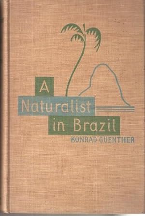 A Naturalist in Brazil - the record of a year's observation of her flora, her fauna amd her people