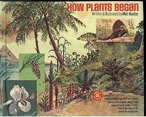 HOW PLANTS BEGAN